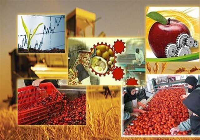 ظرفیت ۱۲۰ میلیون تنی فرآوری محصولات کشاورزی در ایران