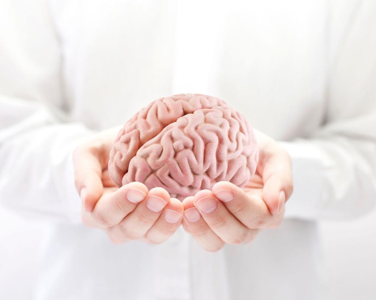 سخت کار نکنید، مغز سمی می‌شود