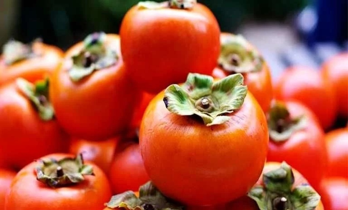 شگرد‌هایی برای نگهداری و ماندگاری طولانی‌تر خرمالو