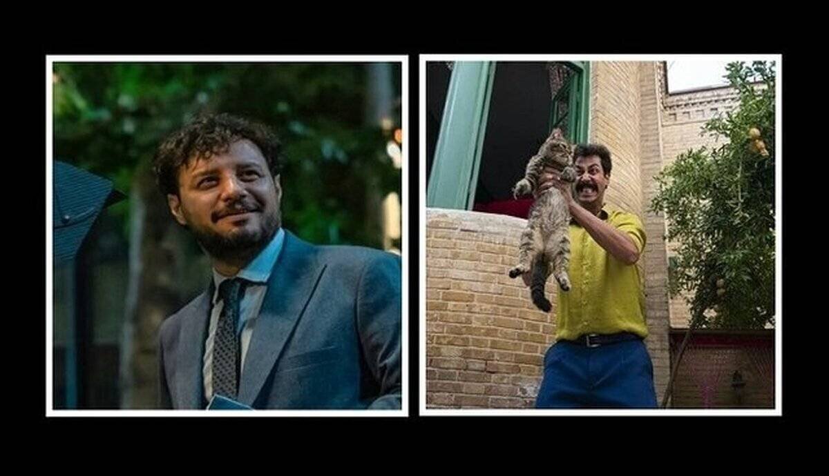 امسال سال گربه است یا سال تمساح؟ 