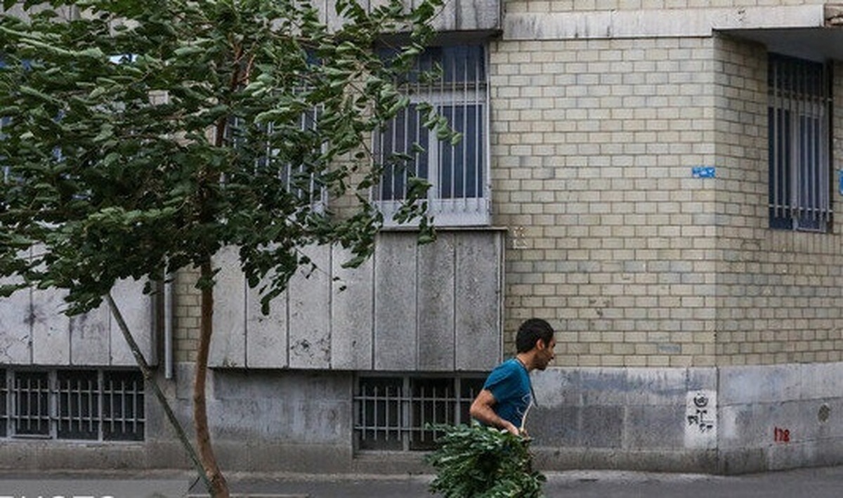 وزش باد شدید و رگبار در تهران