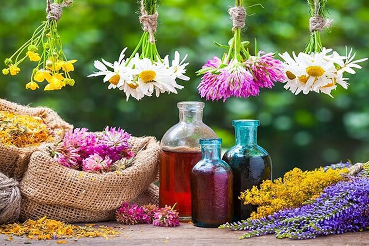 آنتی بیوتیک‌های گیاهی را بشناسید