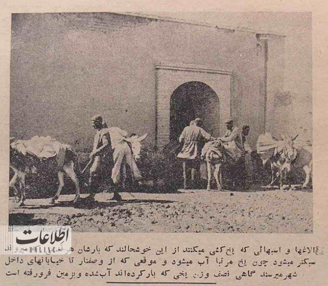 عکس‌های تاریخی از یخ‌رسانی به مردم تهران با الاغ!