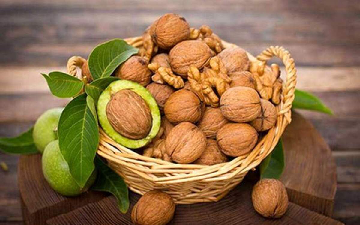 چه بخوریم ۱۰۰ سال عمر کنیم؟