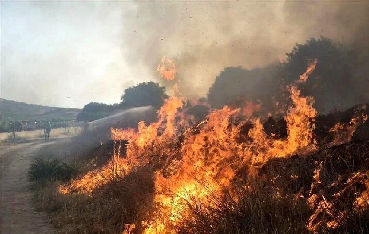 آتش به جان پارک ملی افتاد