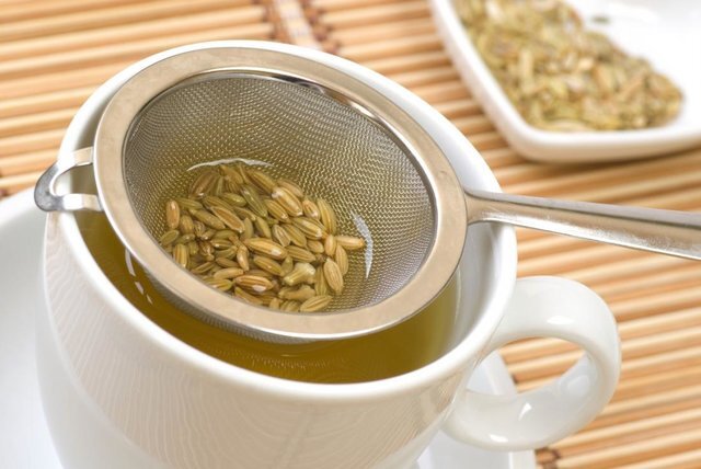 ۳ گیاه آرام‌بخشِ معده