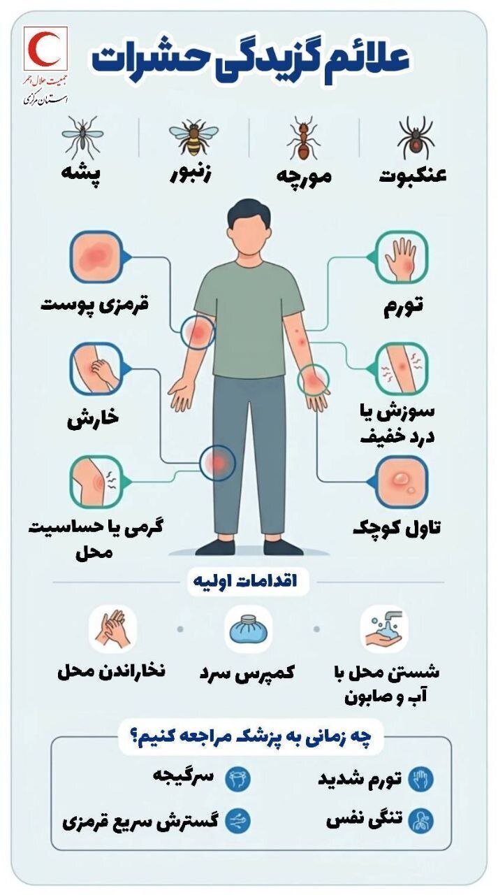 این علائم را در بدن جدی بگیرید؛ درچه شرایطی بعد از گزیدگی باید به پزشک مراجعه کرد؟