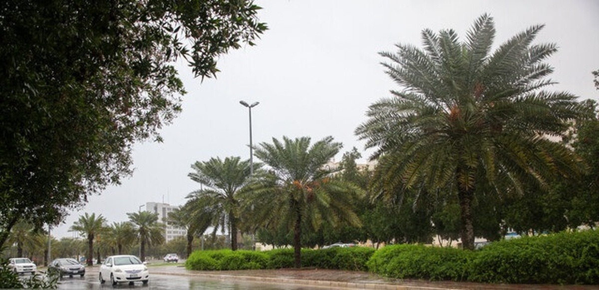 بارش باران، رعدوبرق در ۲۴ استان