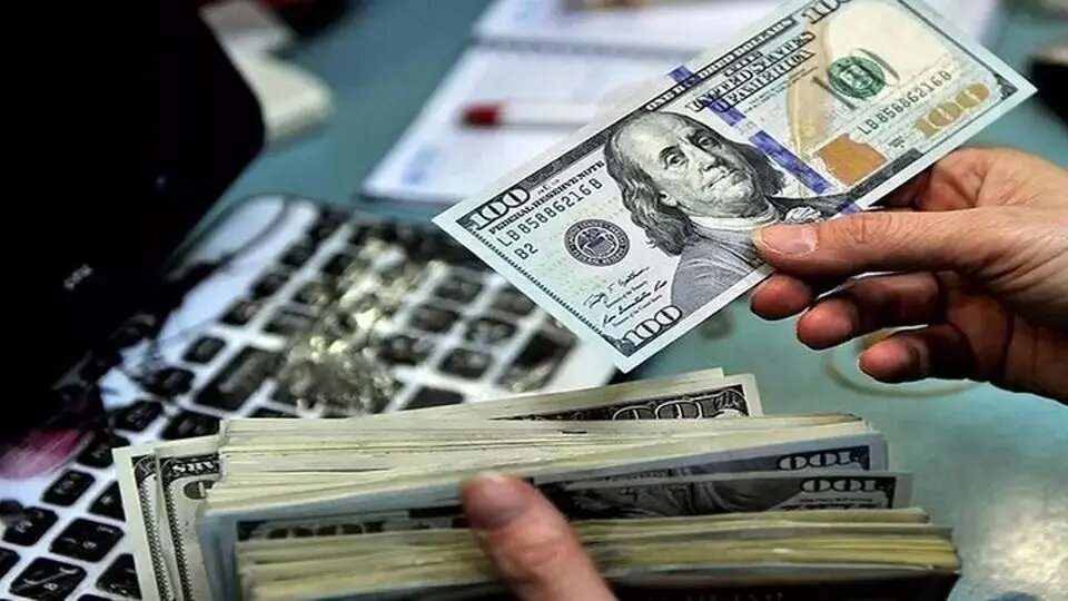 هشدار مهم بانک مرکزی به خریداران ارز/ مراقب این اتفاق باشید