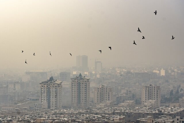 خودروها مقصر ۷۰ درصد آلودگی هوای کرج و تهران / مشکلات اقتصادی می‌تواند ملاحظات زیست‌محیطی را تضعیف کند