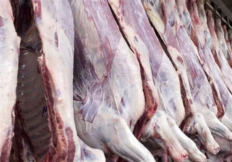 گوشت 