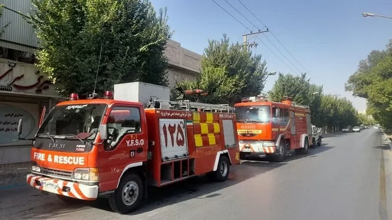 آتش‌سوزی چند درخت در حوالی ورزشگاه انقلاب / آتش نشانی: بی‌احتیاطی کارگران ساختمانی سبب آتش سوزی شد