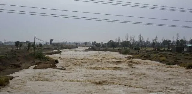 سازمان هواشناسی