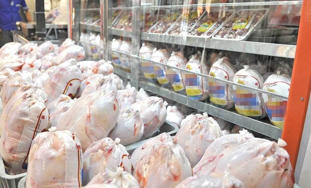 قیمت جدید گوشت مرغ امروز دوشنبه ۲۷ مهر ۱۴۰۵ / فیله مرغ ۶۶۶ هزار تومان شد + جدول