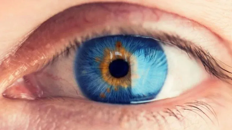 چشم