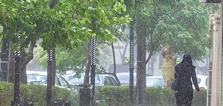 رگبار